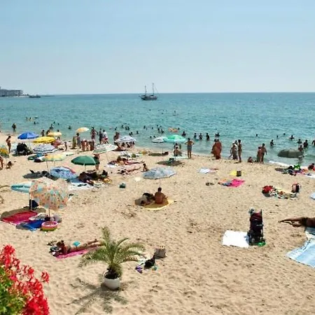 Sunshine Vacation *